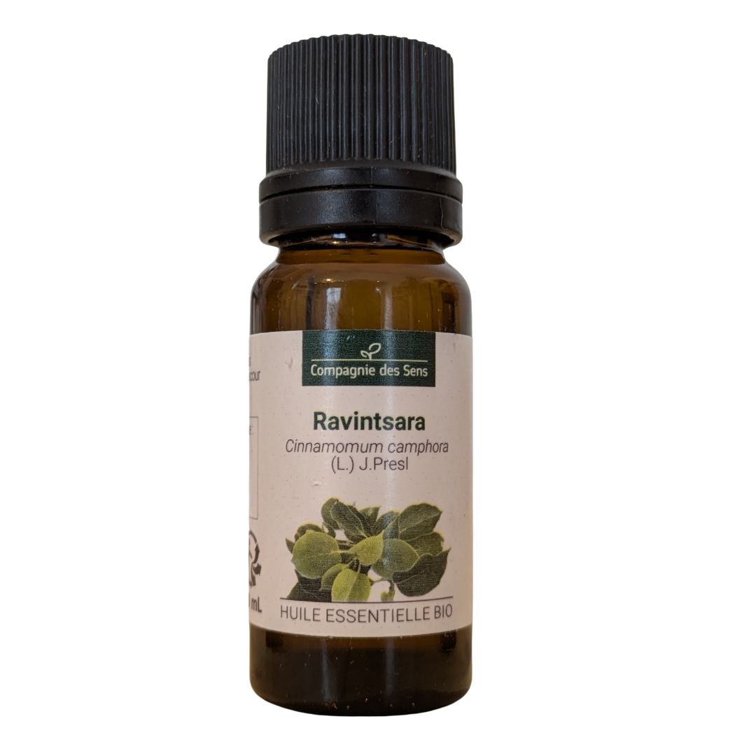 Ravintsara bio, huile essentielle (Cinnamomum camphora) 10 ml