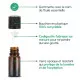 Menthe poivrée bio, huile essentielle (Mentha piperita) 10 ml – Image 2