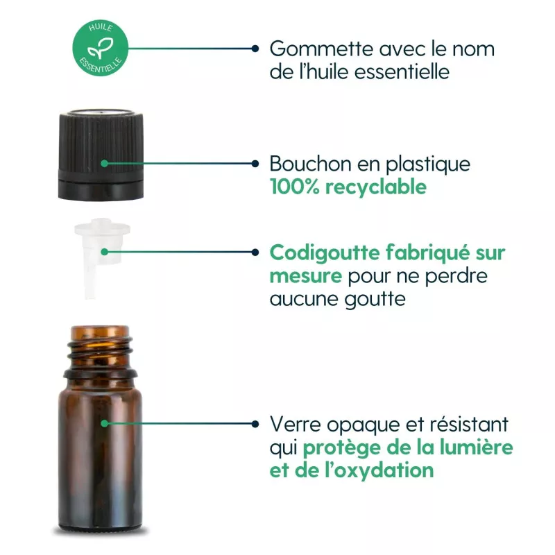 Ravintsara bio, huile essentielle (Cinnamomum camphora) 10 ml – Image 2