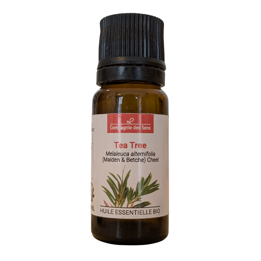 Tea tree bio, huile essentielle (Melaleuca alternifolia) 10 ml