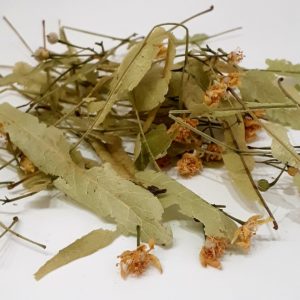 inflorescence de Tillia sp pour tisanes sédatives et calmantes