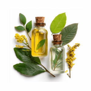 Atelier découverte de l’aromathérapie